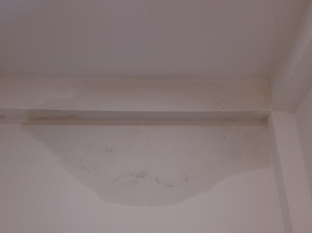 Cormorant Lake Resort主图