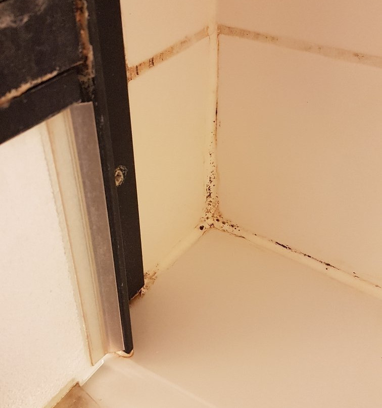 维斯马贝斯特韦斯特格兰德城市酒店主图