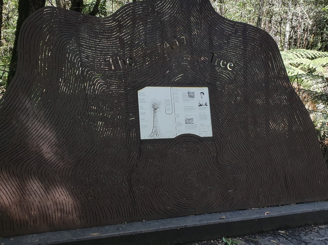 Ada Tree-Noojee必去景点