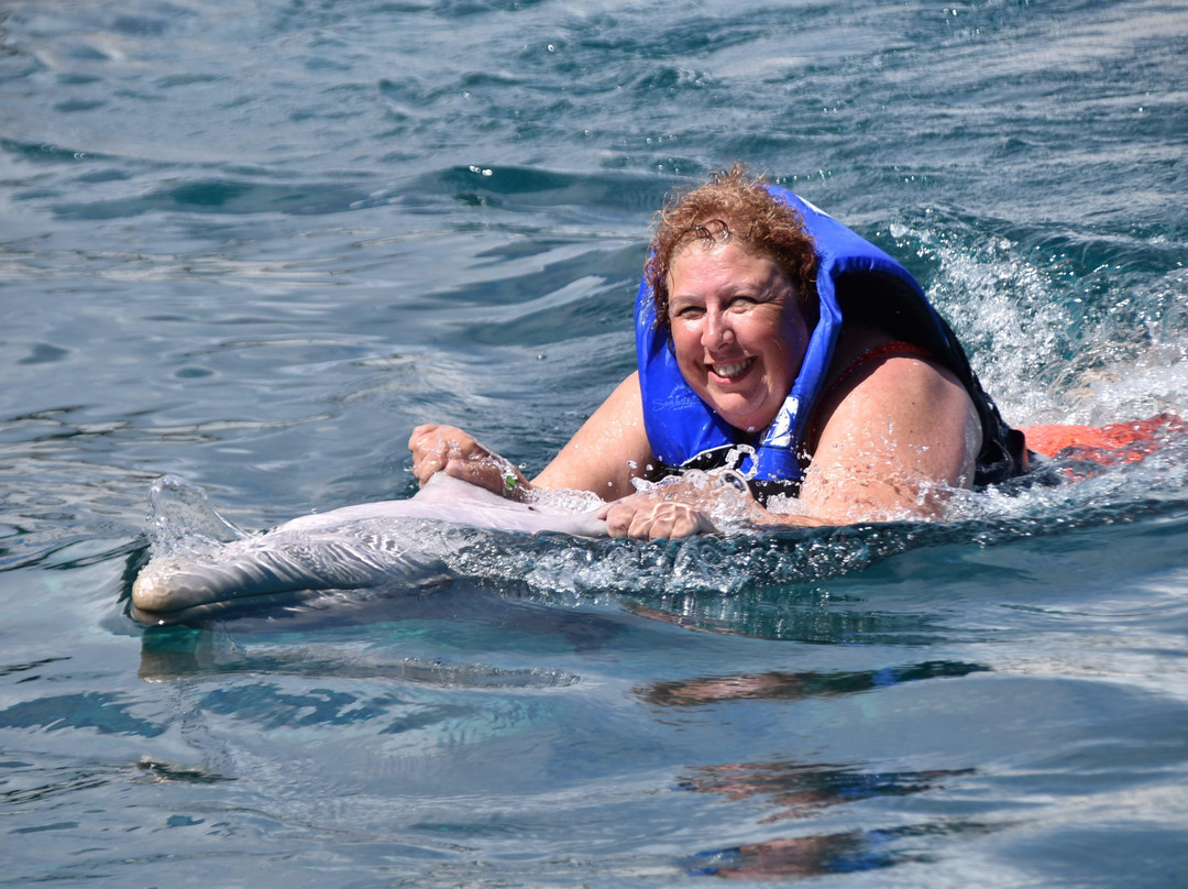 Sea Life Park Animal Encounters-威玛纳诺必去景点