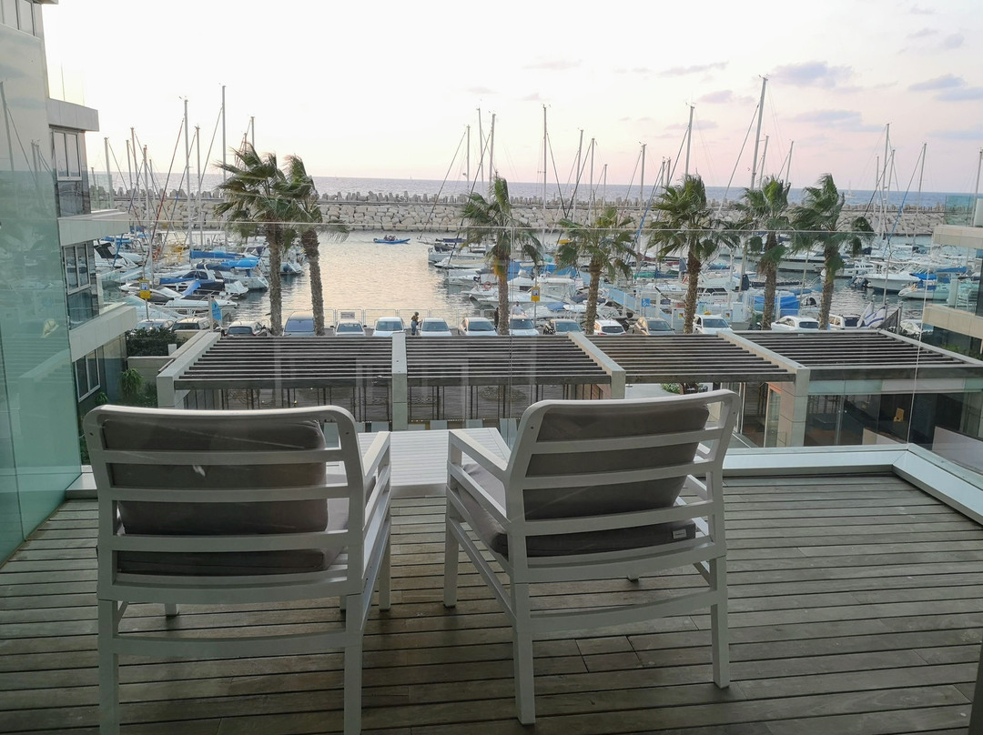 荷兹利亚希律酒店主图