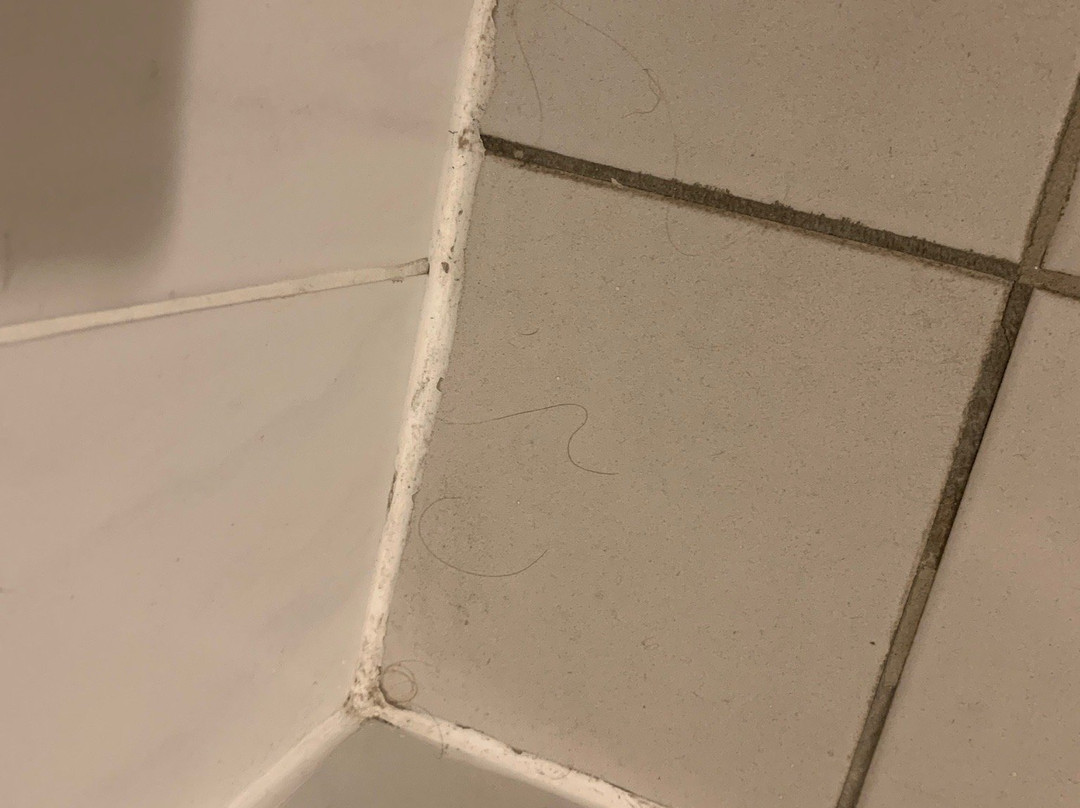 Hotel Wippertal主图