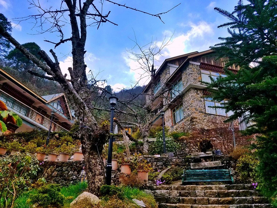 The Apple Orchard Resort主图