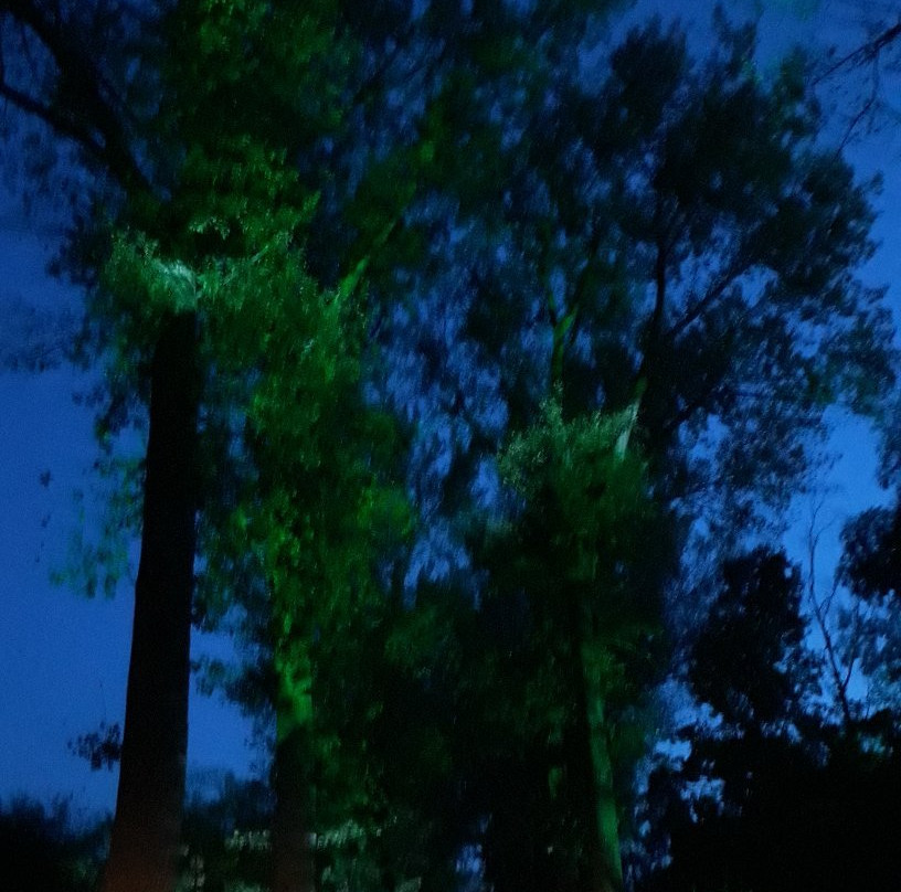 Rivierenhof-安特卫普必去景点