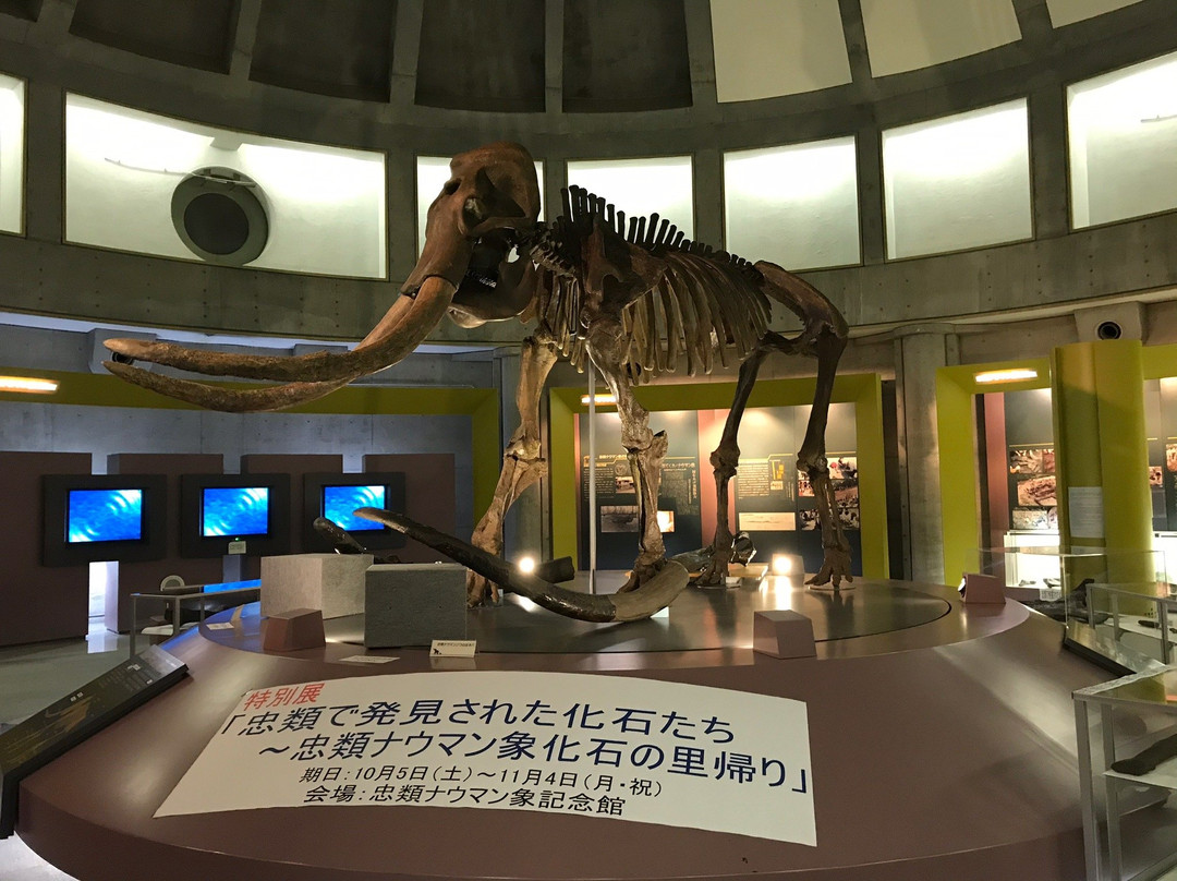 The Churui Museum of Naumann's Elephant-幕别町必去景点