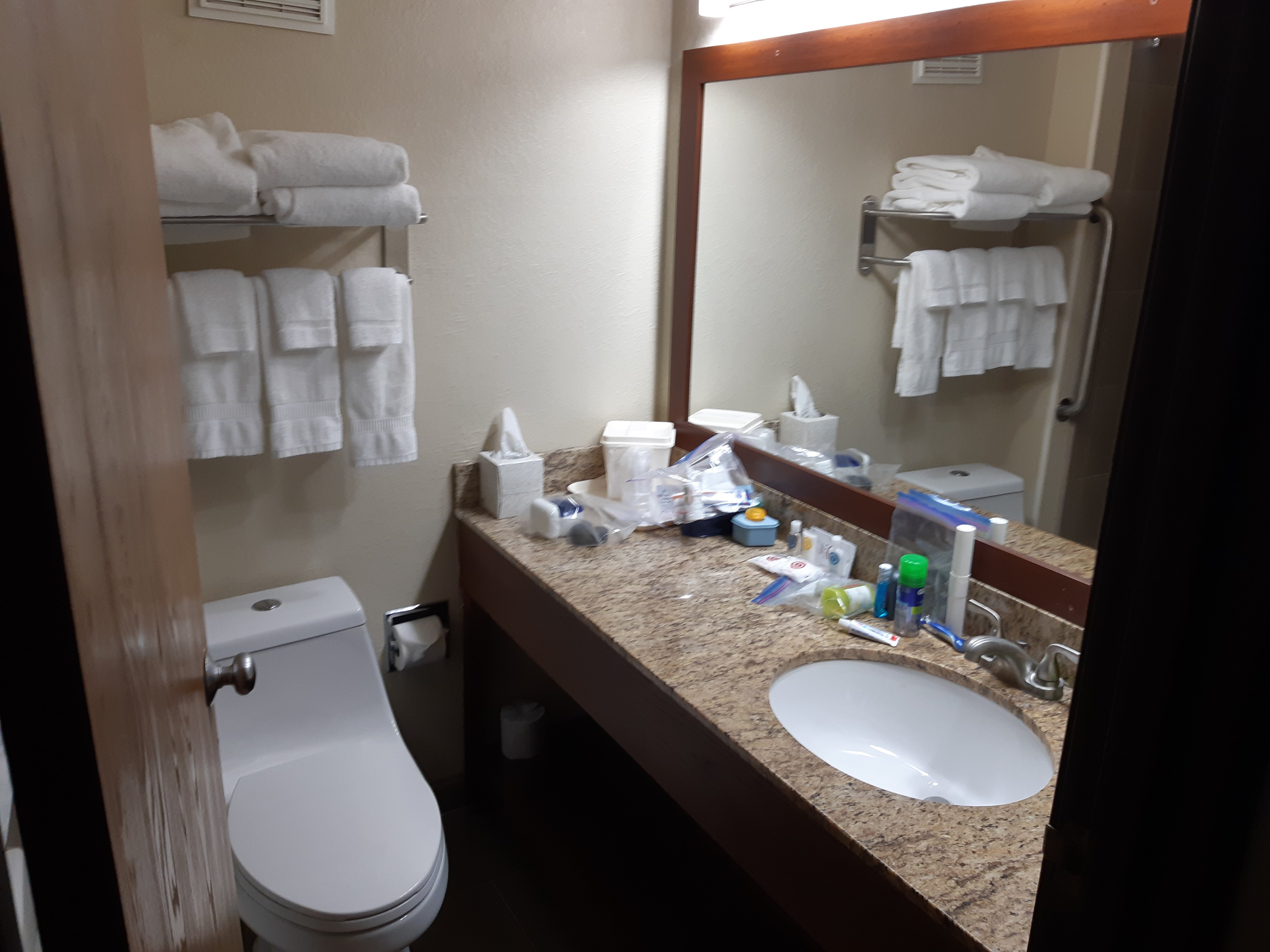 Quality Inn & Suites-浴室