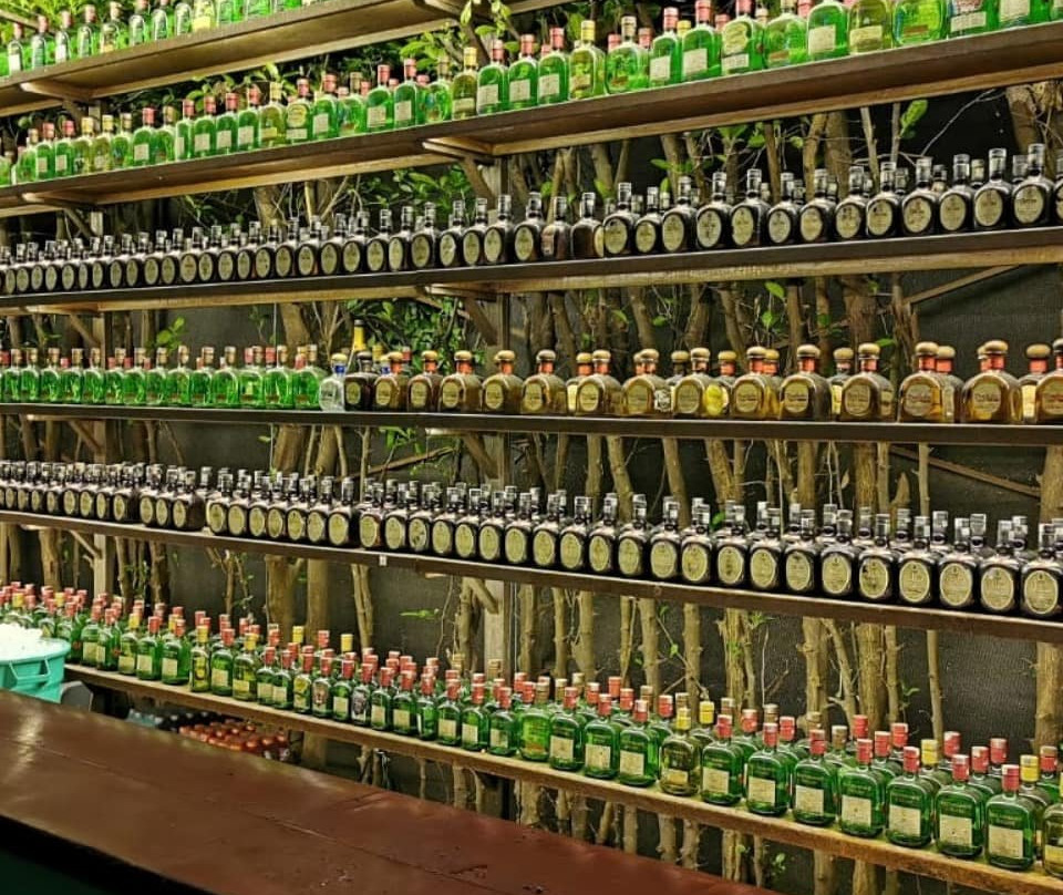 Discoteca Los Capachos-比亚维森西奥必去景点