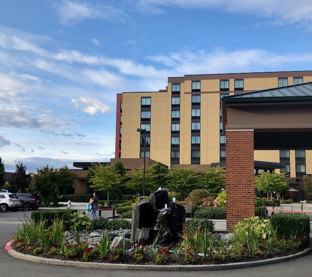 Hilton Garden Inn Seattle/Issaquah-浴室