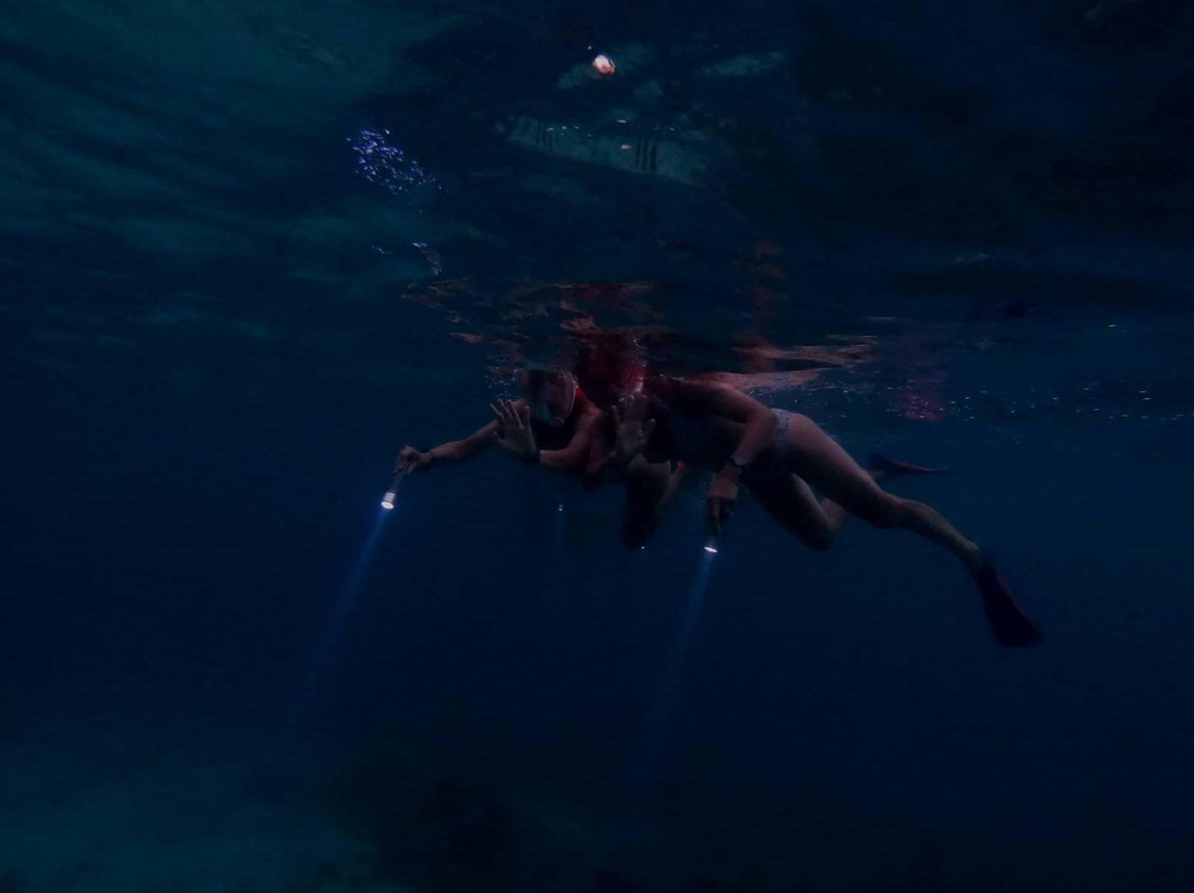 Night Snorkeling Adventure /Mauritius-Pointe d'Esny必去景点