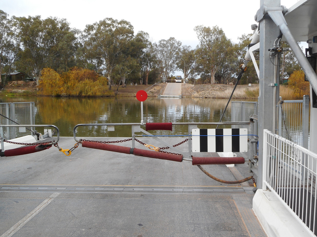 River Murray Ferries景点图片