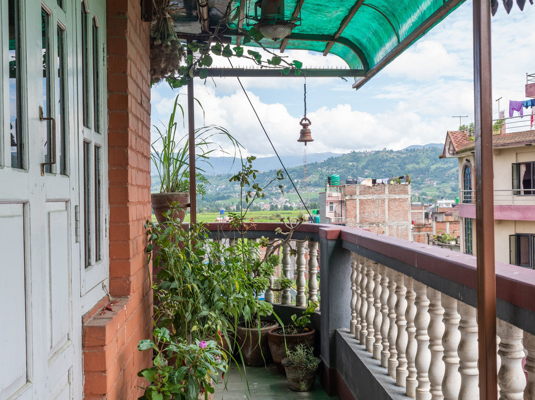 Catsun Family Home主图