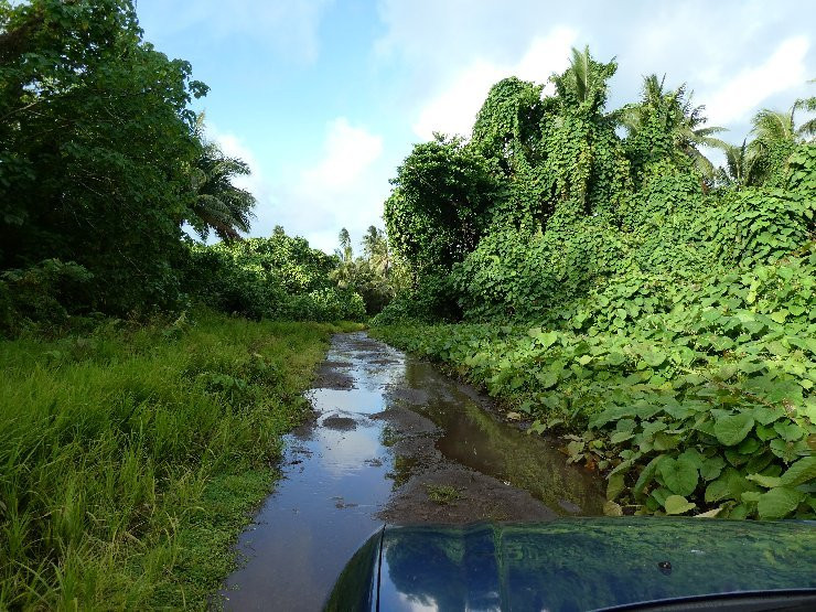 Lac Lalolalo-Wallis Island必去景点