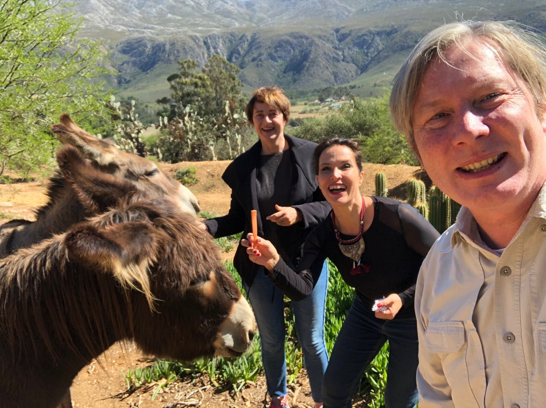 Moroc-Karoo Country Guesthouse主图