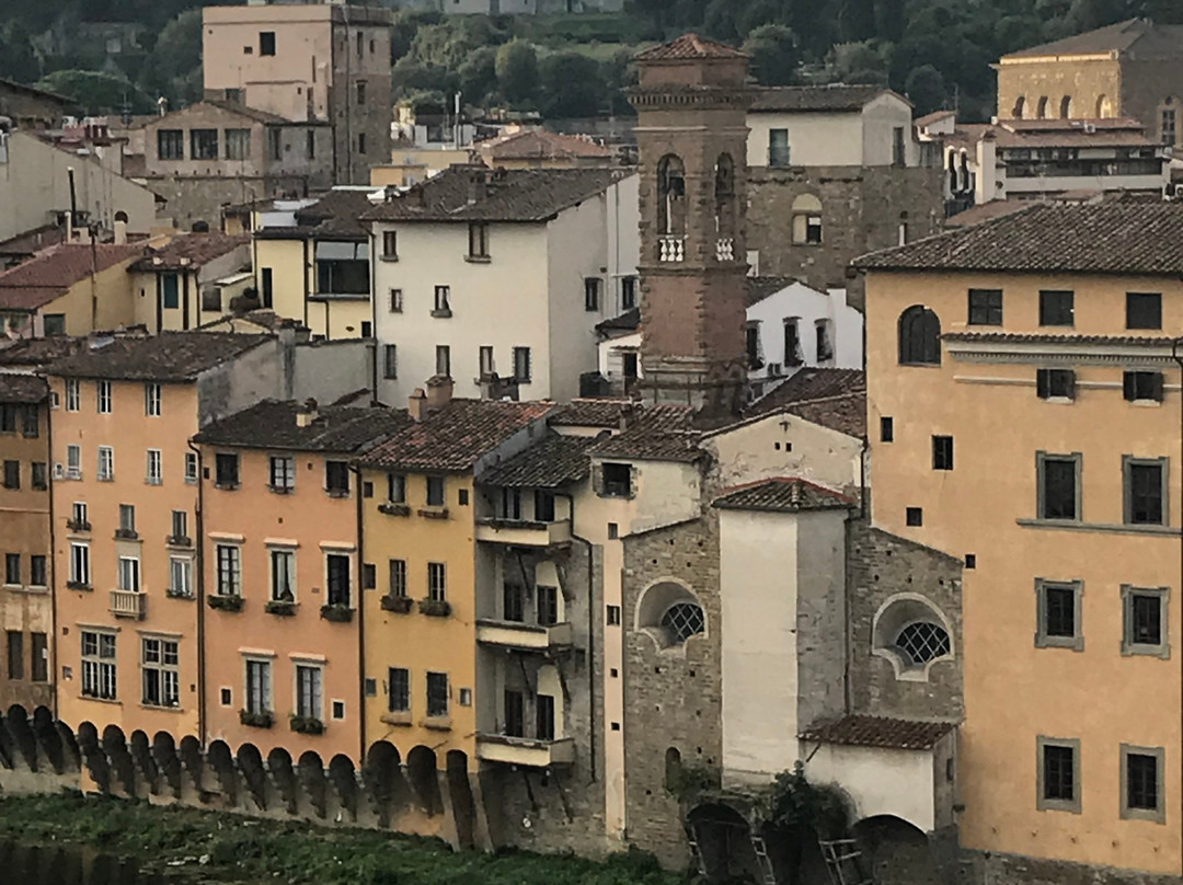 Elena Sardelli - Siena and Tuscany Tour Guide-锡耶纳必去景点