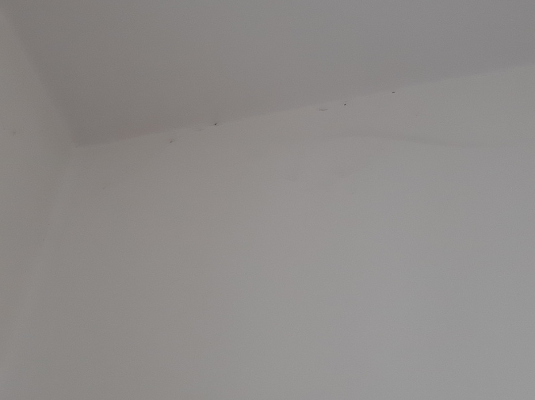 Hotel Daniela Ferrara Budget Hotel主图