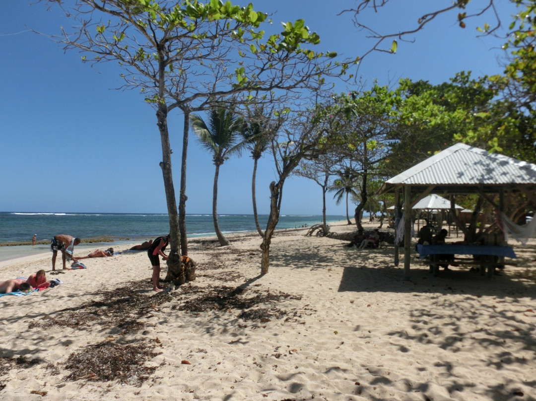 Plage de l'Autre Bord-Le Moule必去景点