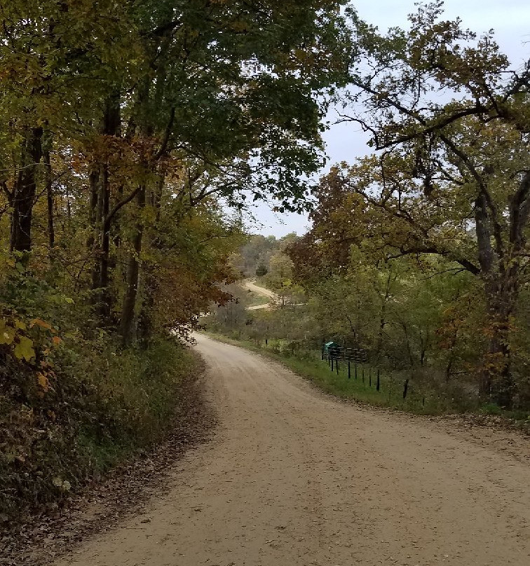 Codfish Hollow Barnstormers-Maquoketa必去景点