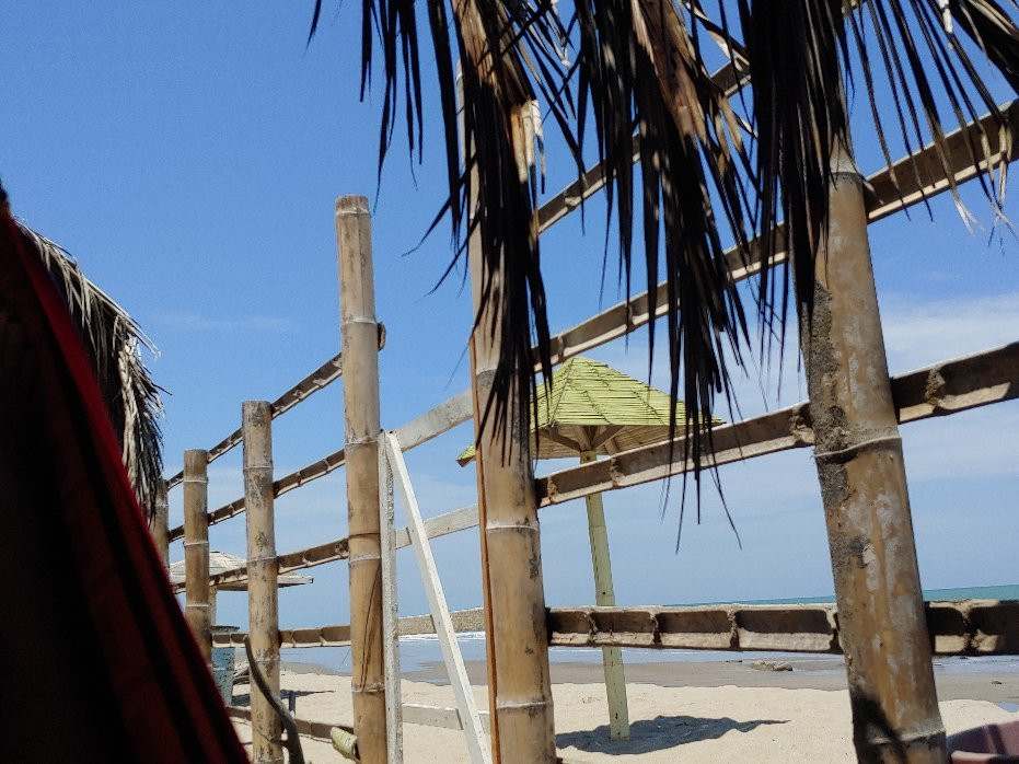 Olas de Serenidad主图