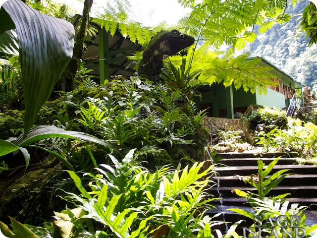 Papillote Tropical Gardens景点图片