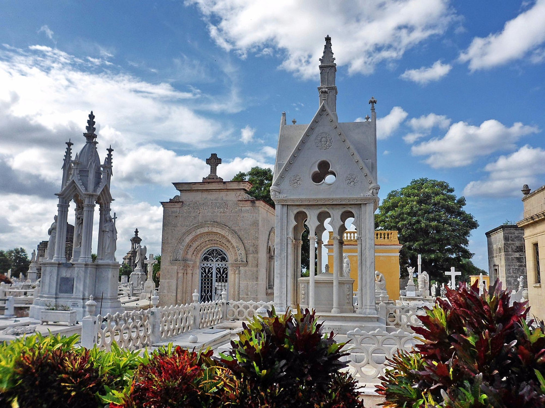 Christopher Columbus Cemetery (Cemetario de Colon)景点图片