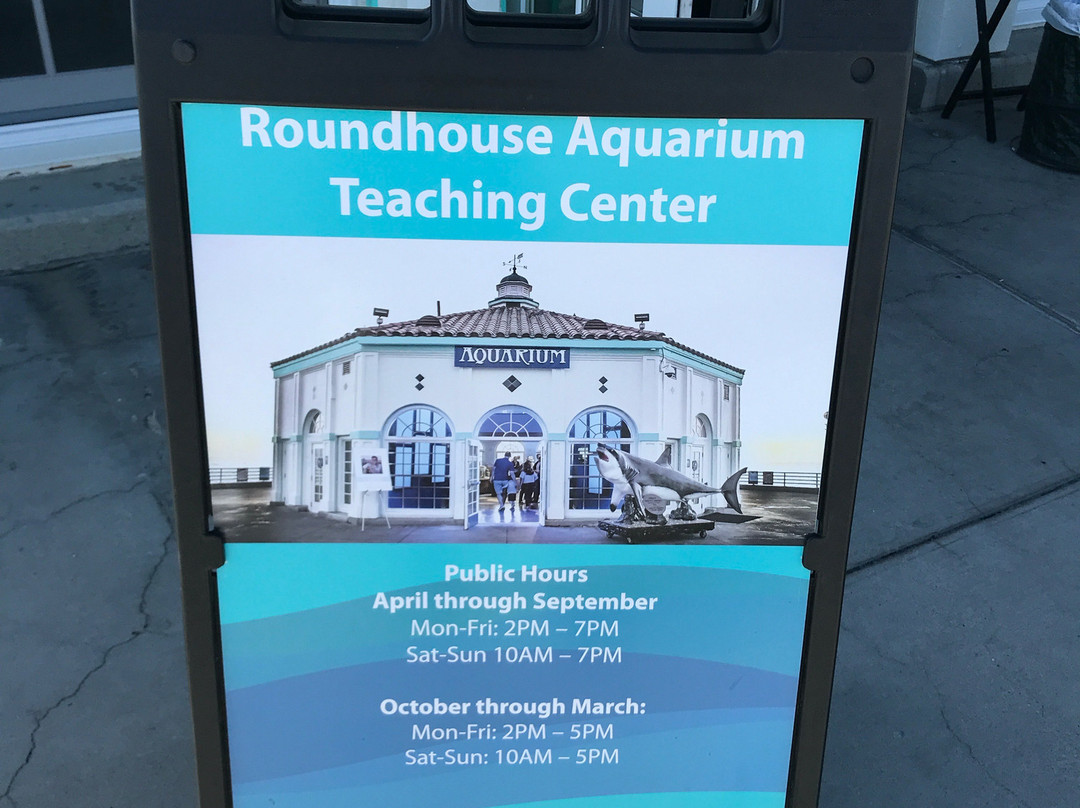 Roundhouse Marine Studies Lab and Aquarium-曼哈顿海滩必去景点