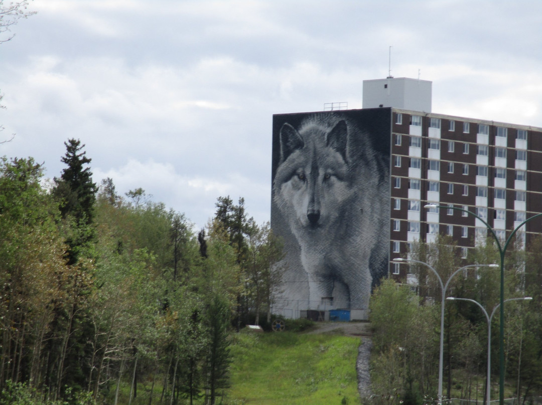 Wolf Mural景点图片