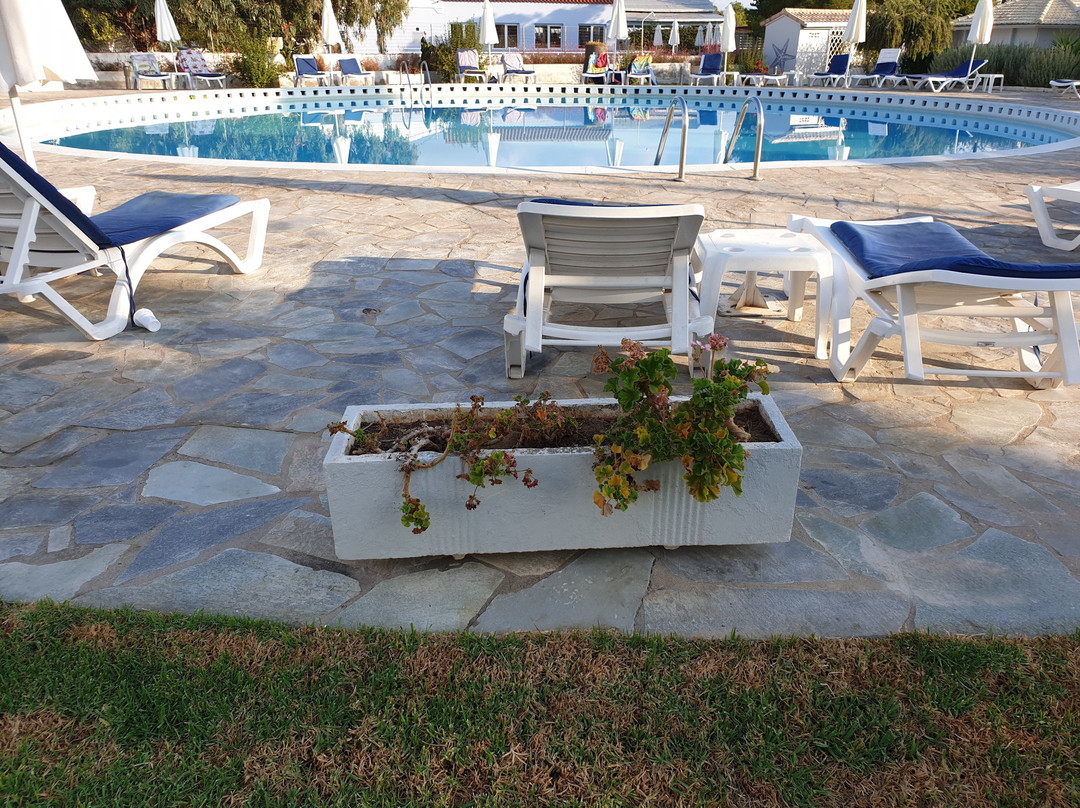 Albatros Hotel主图