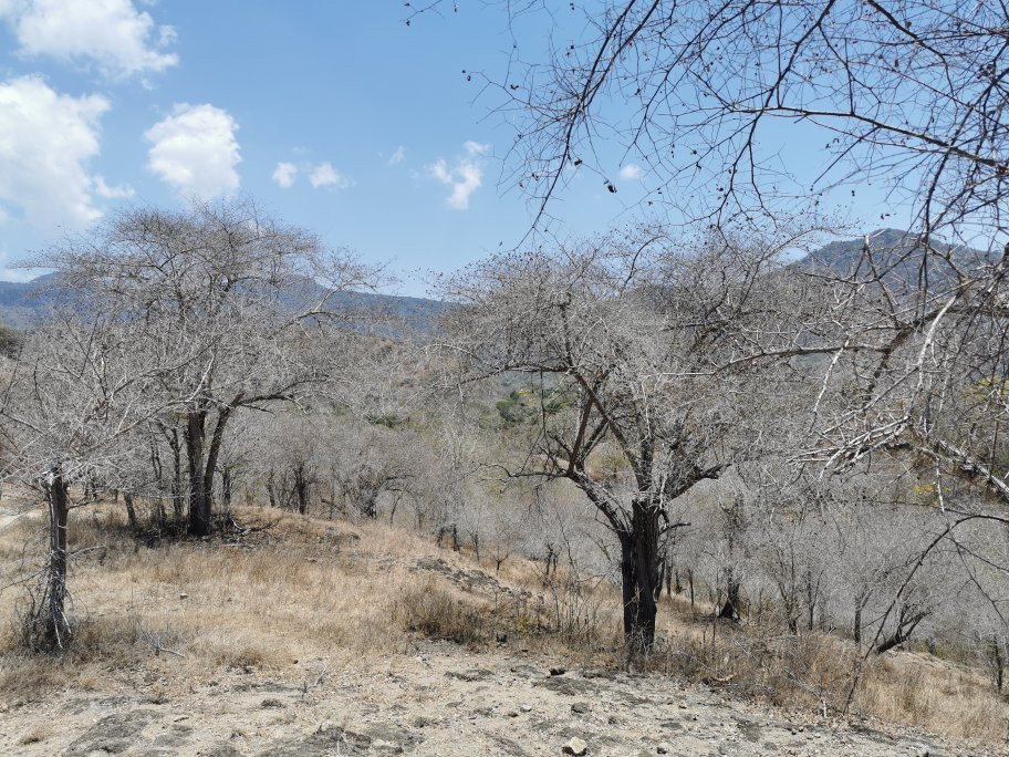 Komodo National Park景点图片