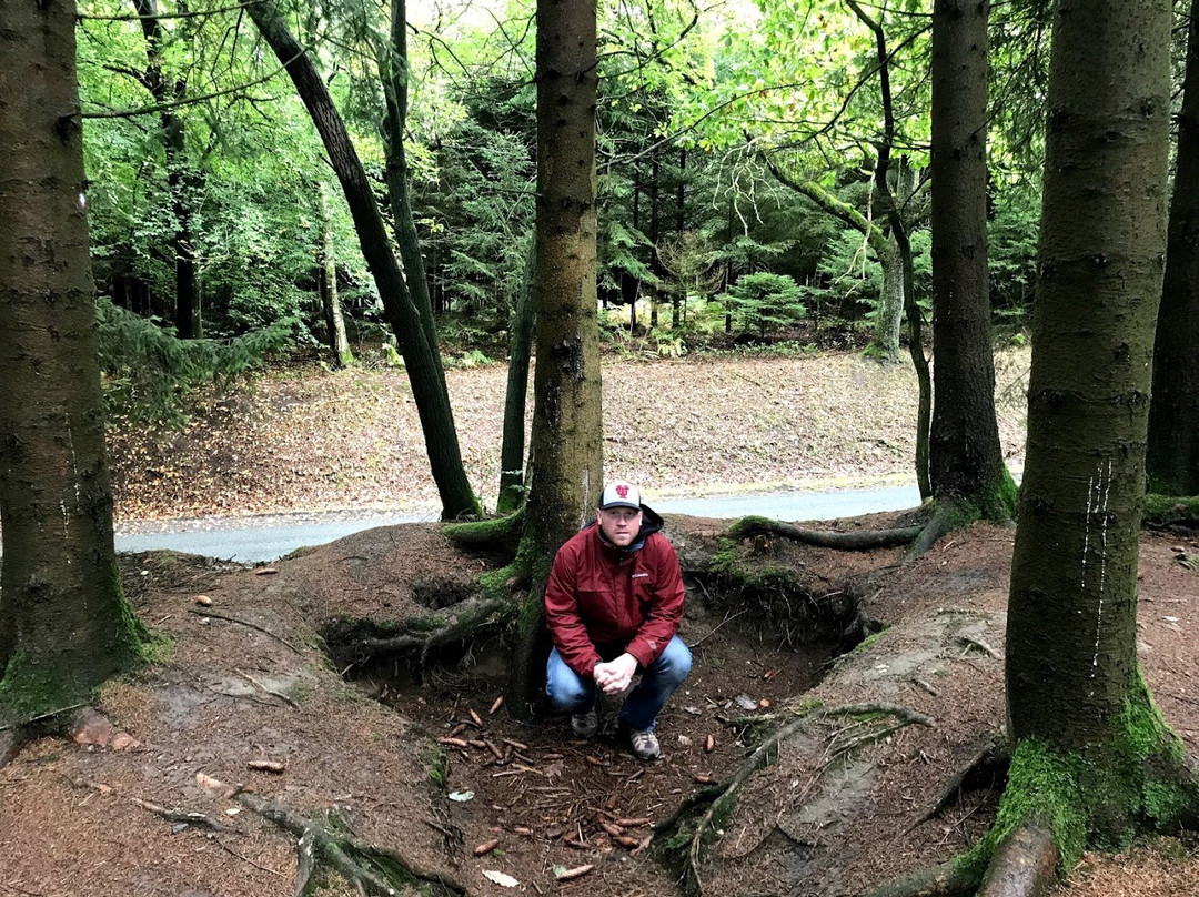 Reg Jans Battlefield Experience - Day Tours景点图片
