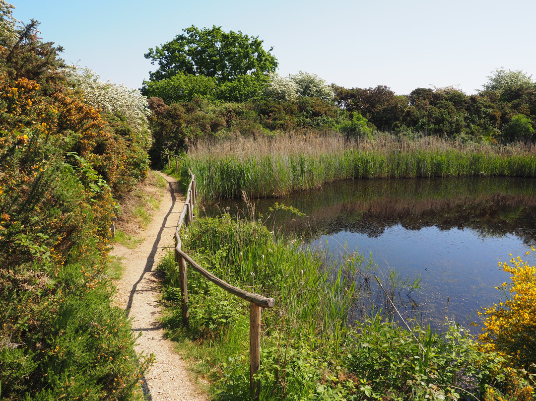 Essex Wildlife Trust Fingringhoe Wick Visitor Centre景点图片
