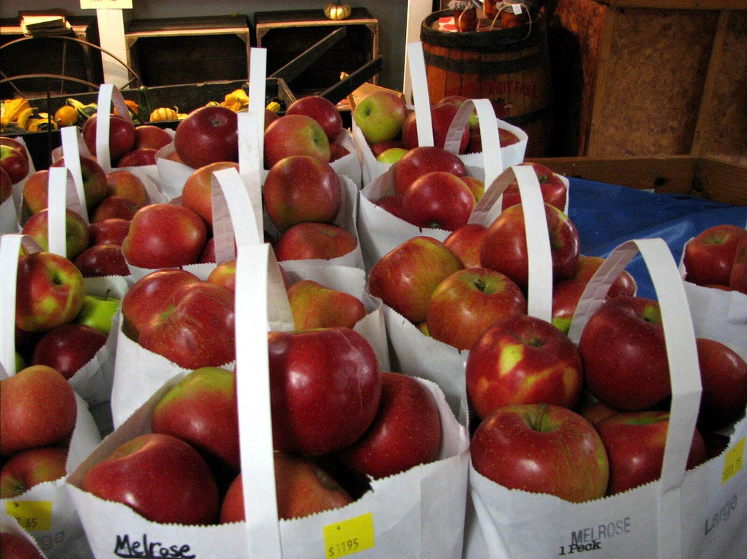 Lebanon旅游景点-Irons Fruit Farm