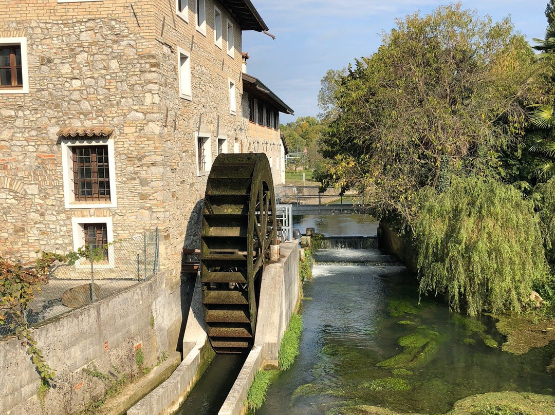 Mulino del Bosco景点图片