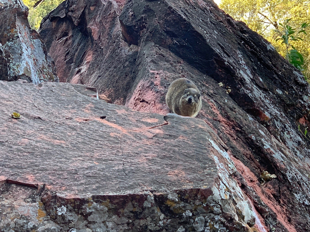 Waterberg National Park-奥奇瓦龙戈必去景点
