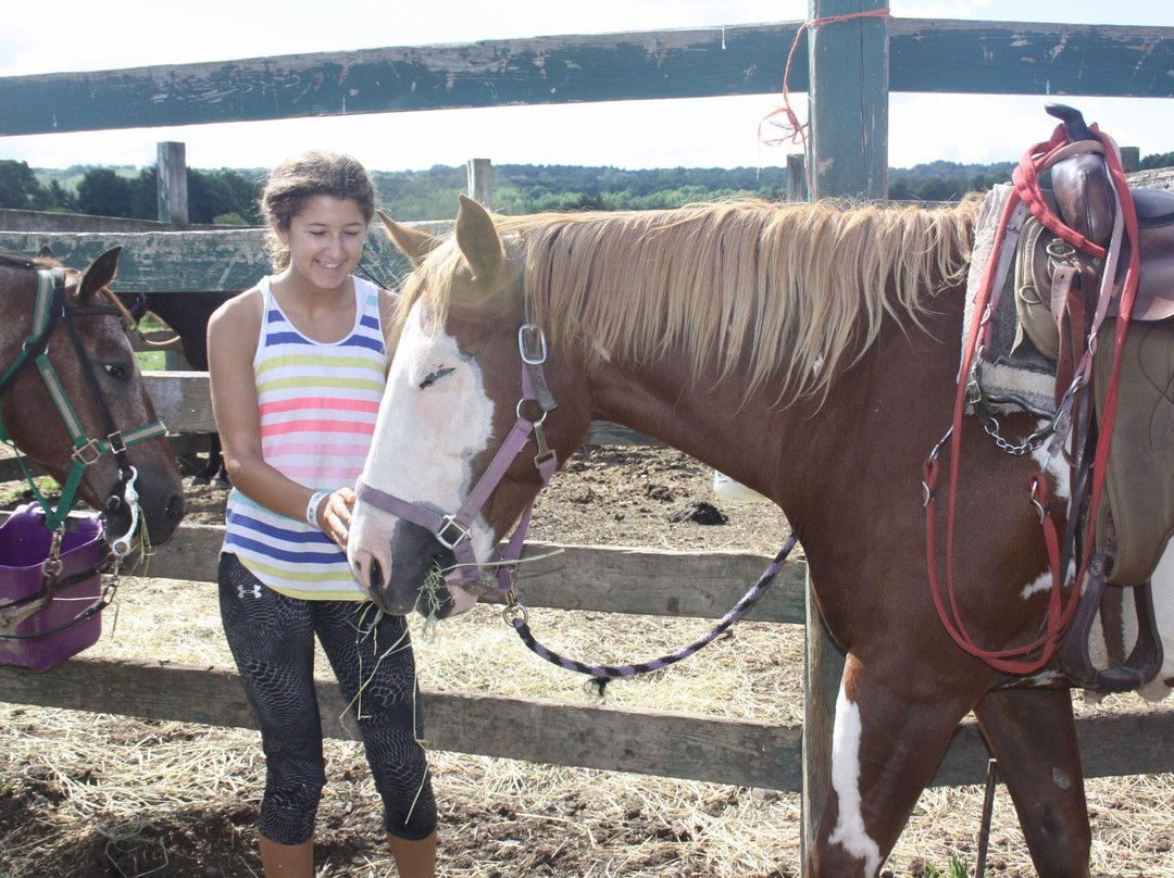 Rt 80 Quarry Ridge Stables-Nedrow必去景点