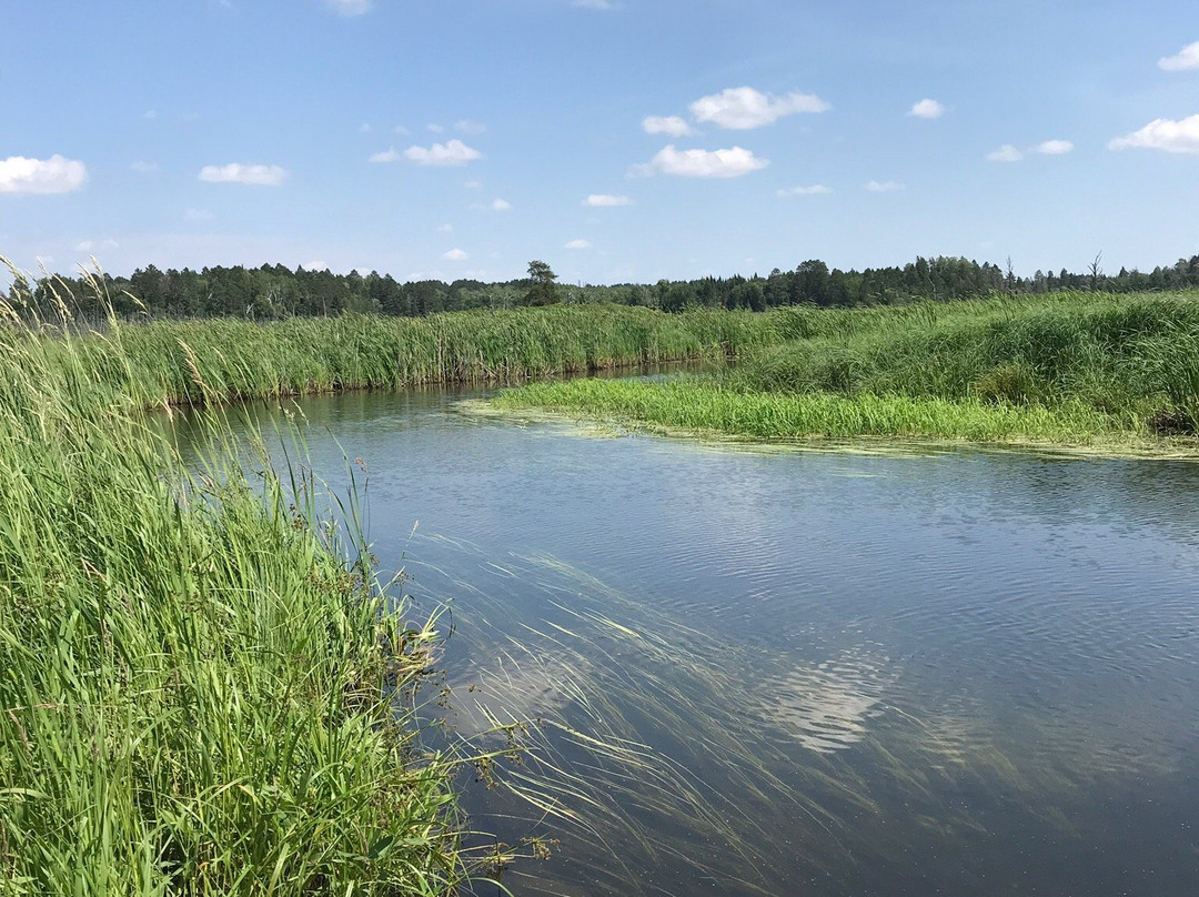 Mississippi Headwaters State Forest景点图片