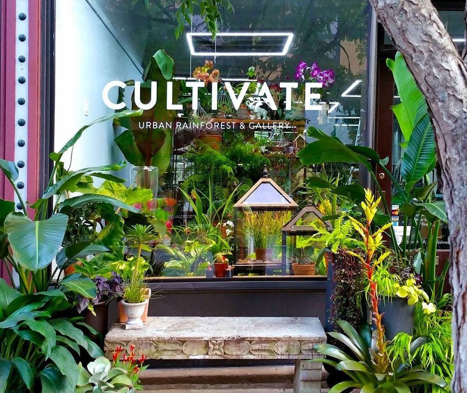 Cultivate Urban Rainforest & Gallery-埃文斯顿必去景点