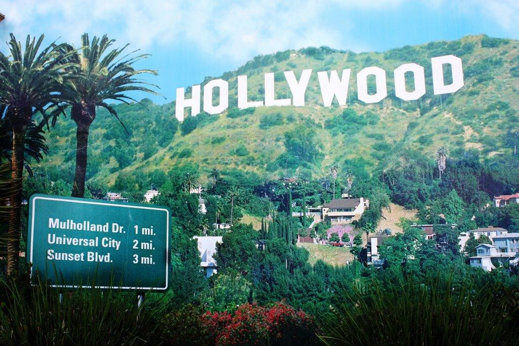 AMG Tours & Coach-阿纳海姆必去景点