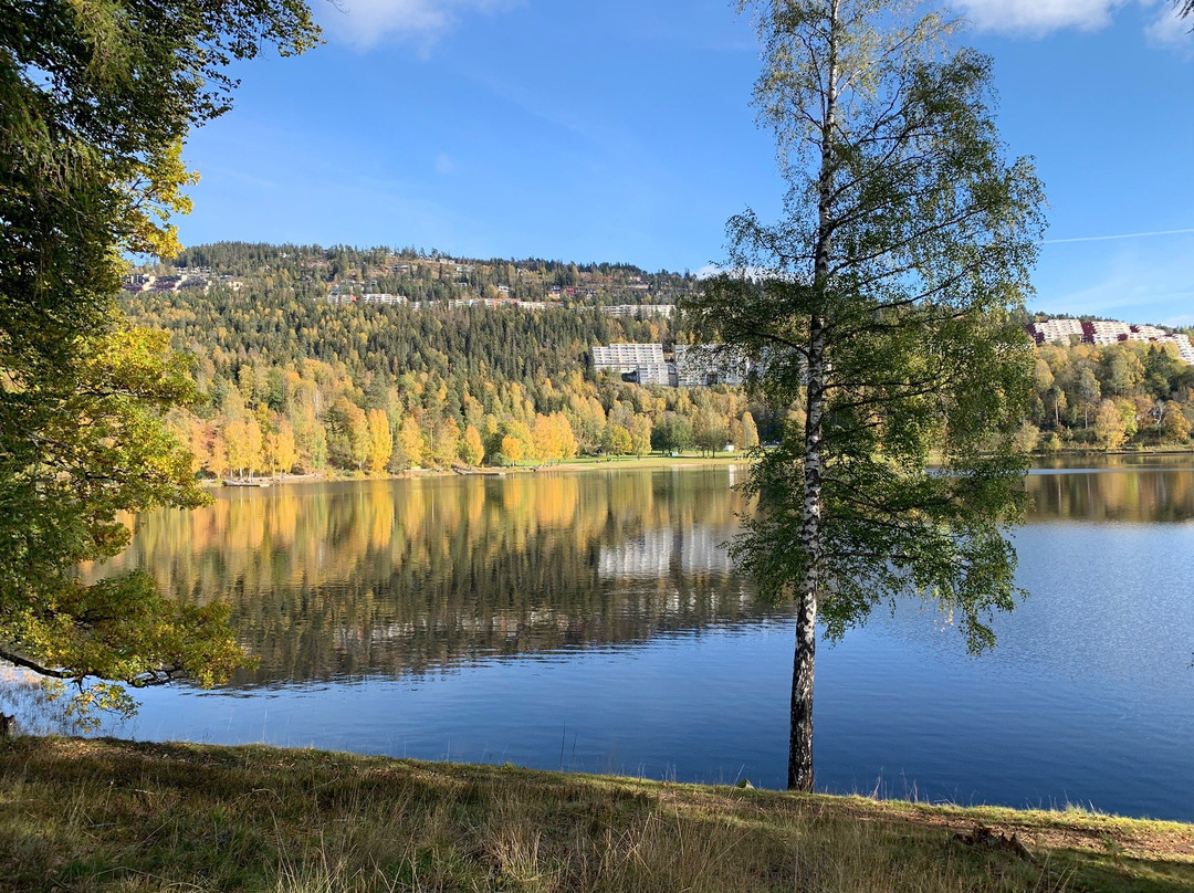 Bogstad Gard-奥斯陆必去景点
