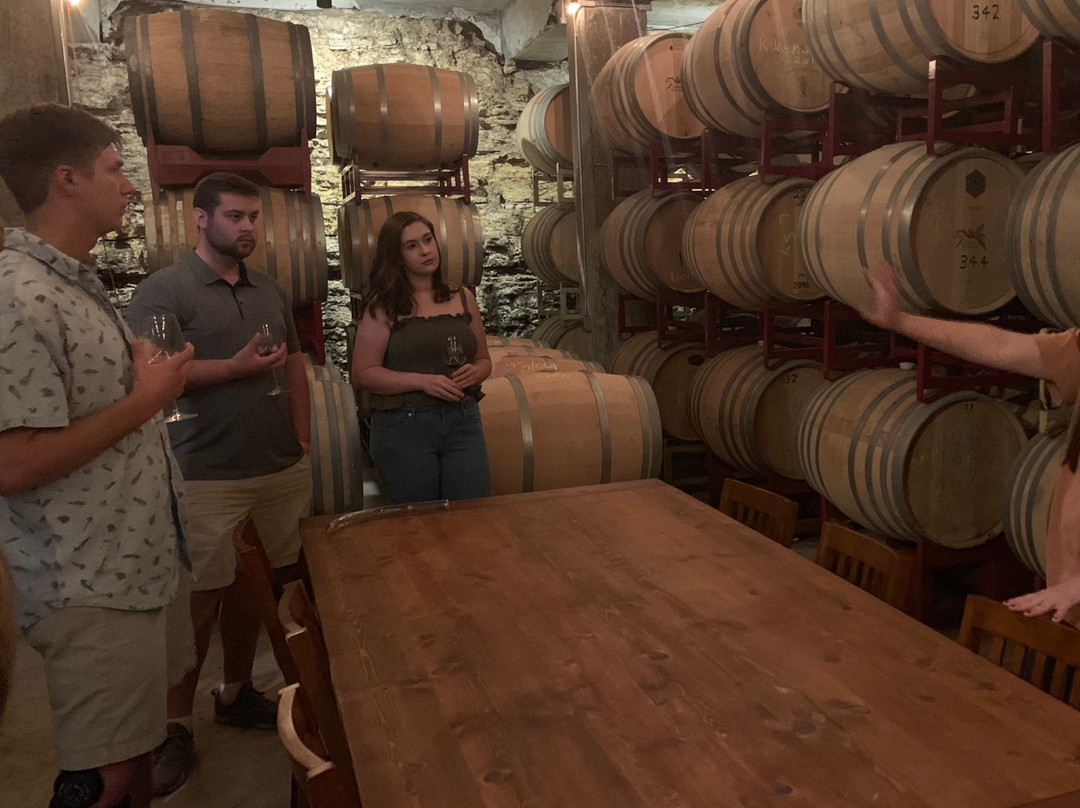 Hawk's Shadow Winery-Dripping Springs必去景点