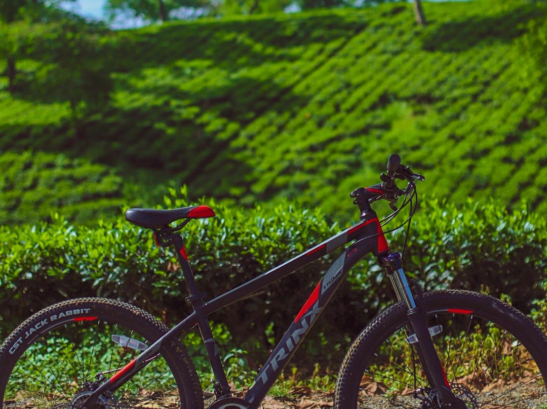 Kaziranga Cycle Tours景点图片