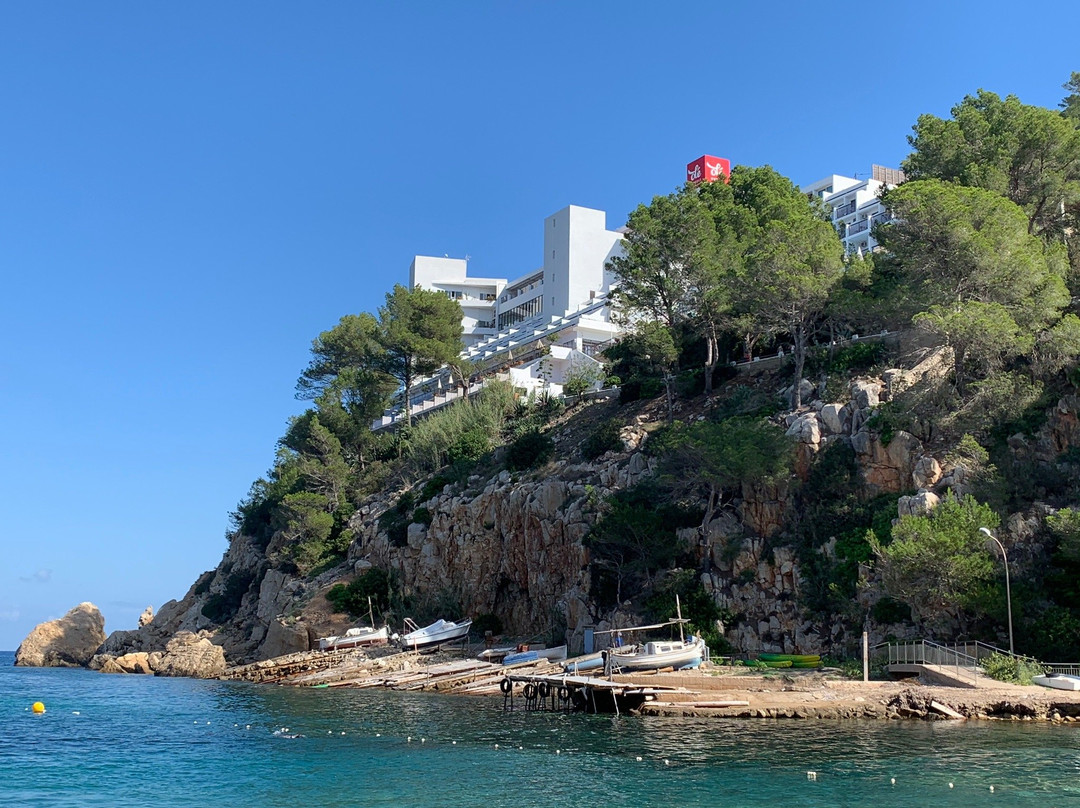 Playa Puerto de San Miguel景点图片