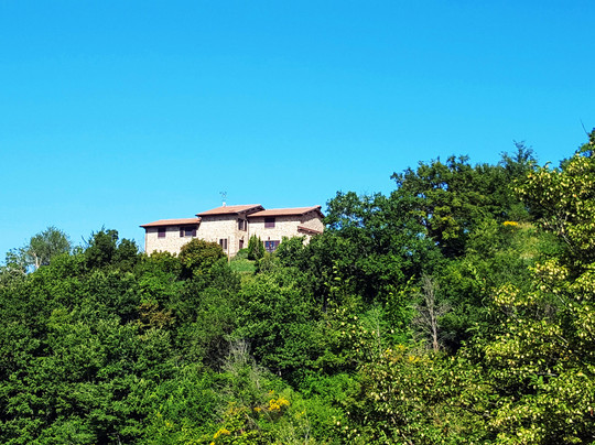 Cannabis Clinic & Restaurant主图