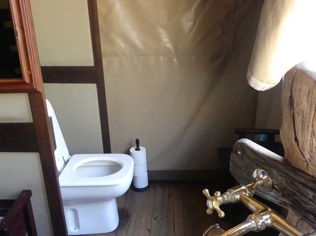 丛林漫步之旅酒店主图