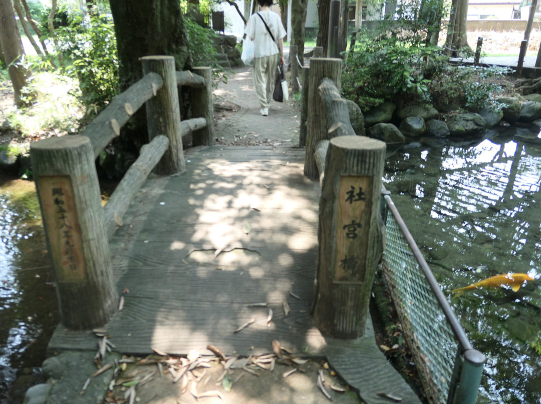 Ninomiya Shrine景点图片