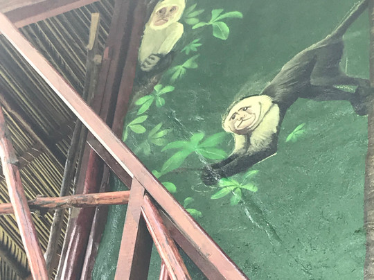 Free Spirit Oasis主图