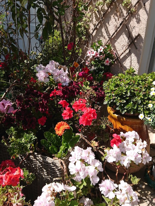 Villa le Bosquet主图