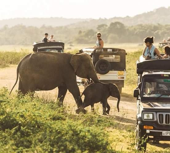 Meraki Tuk Tuk and Taxi Tours-Wellawaya必去景点