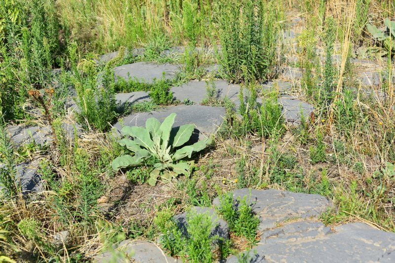 Rovine di Tusculum-Monte Porzio Catone必去景点