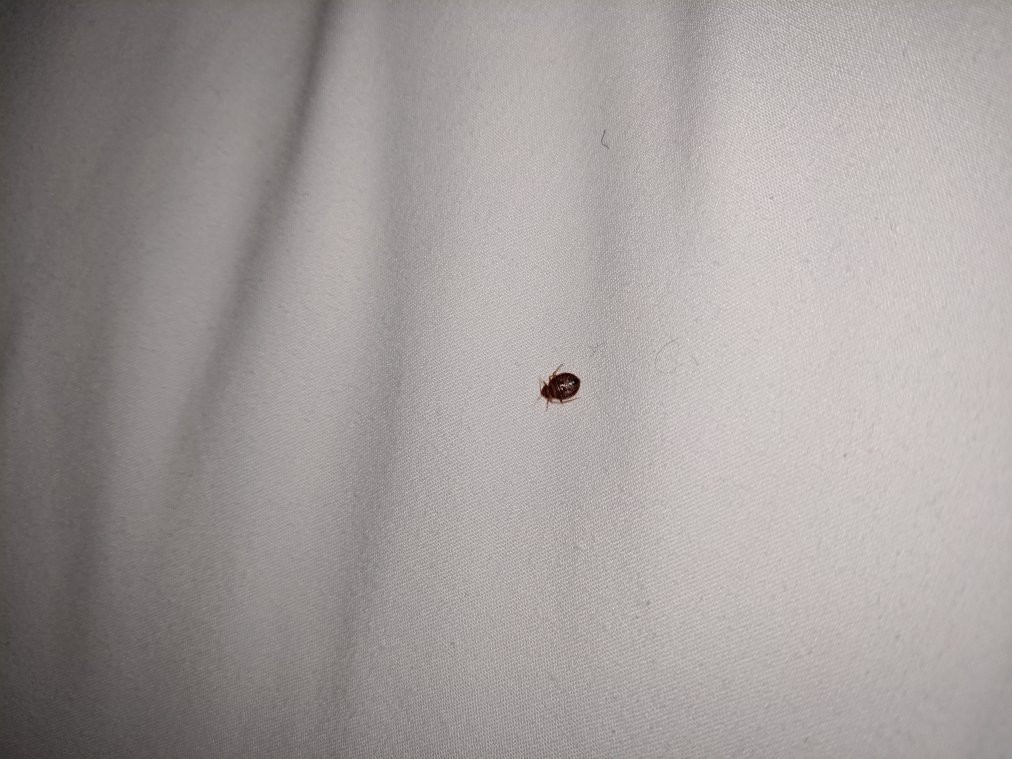 Days Inn by Wyndham Holladay主图