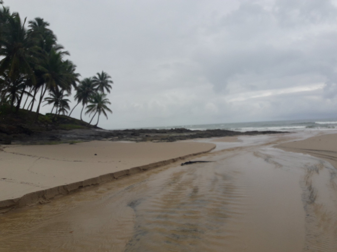 Bicho-preguiça Ecoturismo-Itacare必去景点